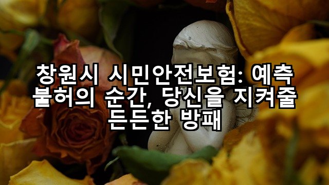 창원시 시민안전보험: 예측 불허의 순간, 당신을 지켜줄 든든한 방패